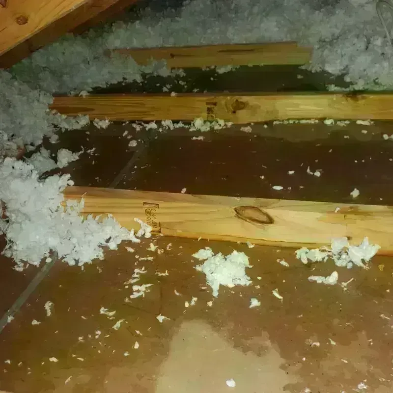 Attic Water Damage in Sussex, WI